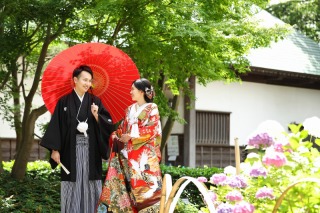 紫陽花のご案内❀