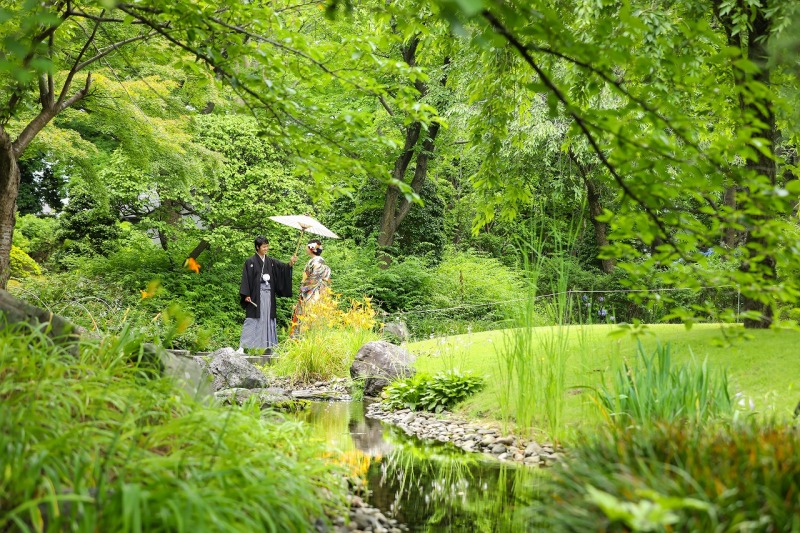 ✿最近の庭園状況✿