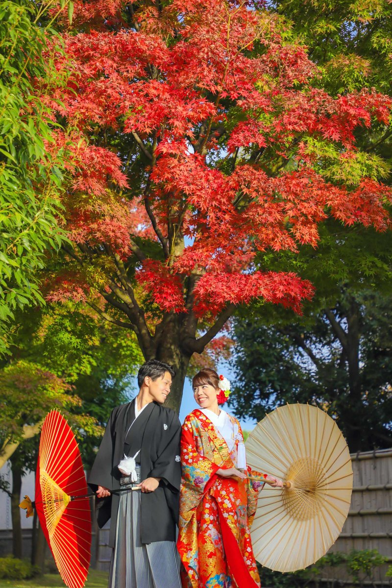 最近の花田苑