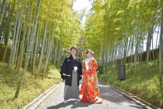 綺麗にフォーマル姿を