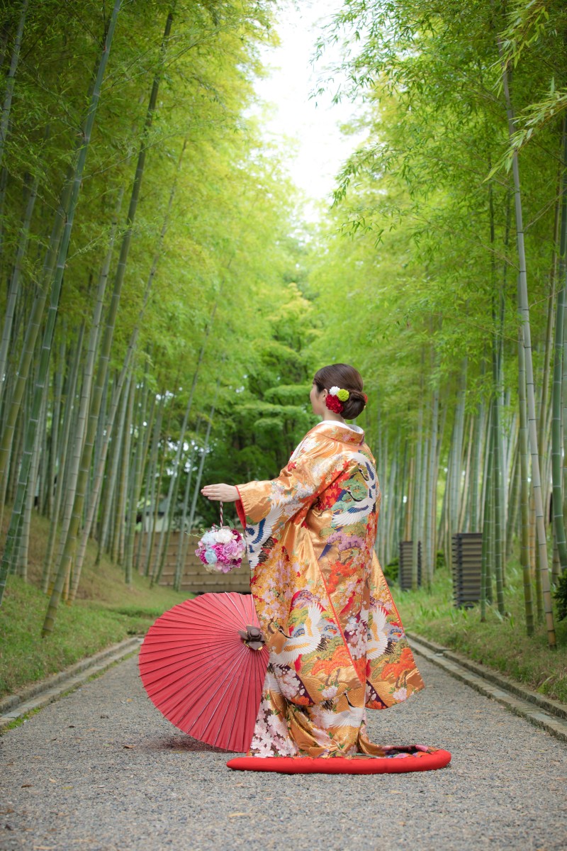 後ろ姿シリーズ！