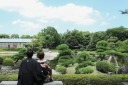 夏の花田苑の様子について