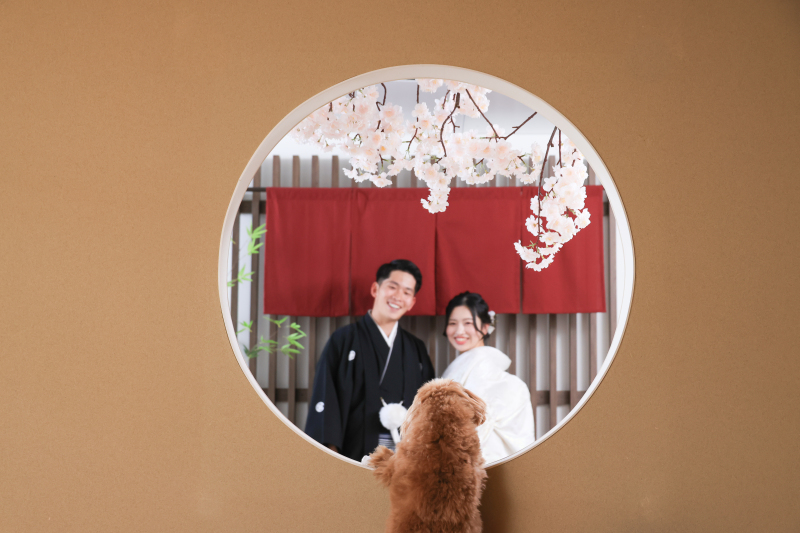 愛犬と一緒に撮影が出来ます！