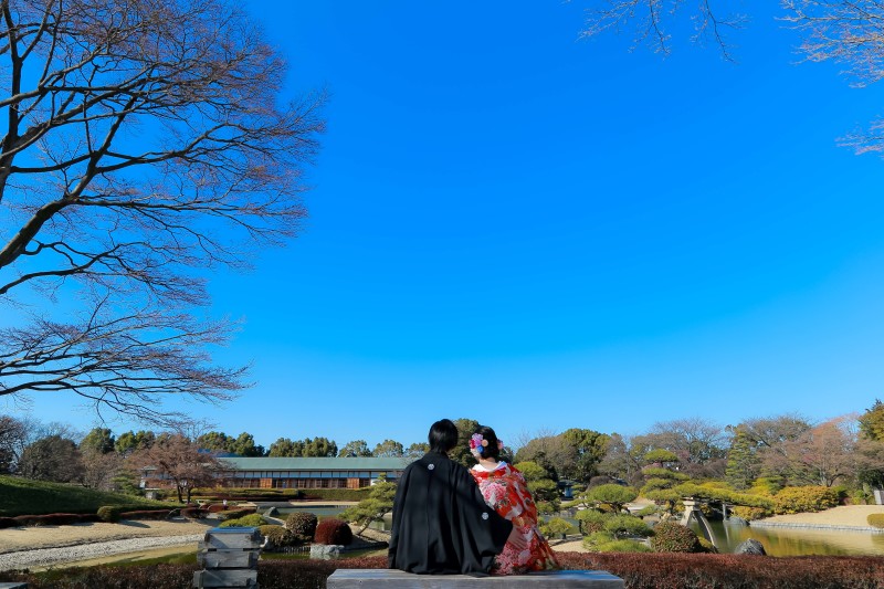 1月2月の庭園の、常緑樹の様子