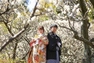 2月は梅の季節です!