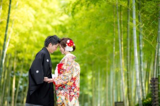 7月は緑がいっぱいです！