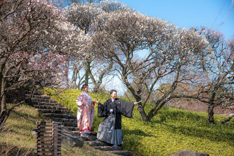 新年あけましておめでとうございます!