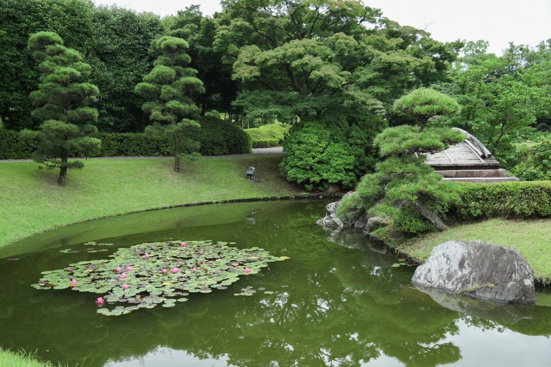 ✿最近の庭園状況✿
