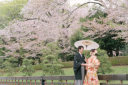 春だけの特別な一枚。桜に包まれる和装ロケーション撮影が人気