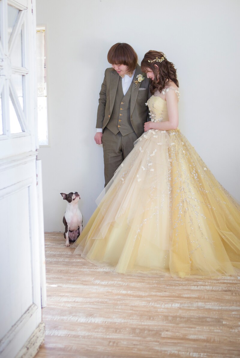 愛犬と一緒に、おしゃれに撮影！洋装スタジオでの撮影が人気の理由