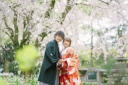 春の桜ロケにおススメ　早割90　和装ロケーション撮影