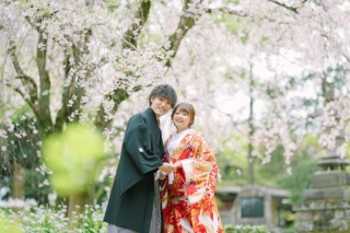 春の桜ロケにおススメ　早割90　和装ロケーション撮影