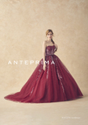 新作カラードレス入荷!