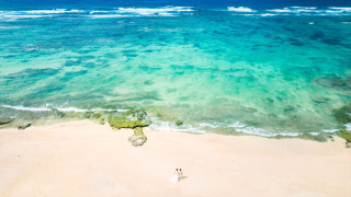 【沖縄情報ー！】海人体験をしてウミガメやマンタやジンベエザメに会おう！