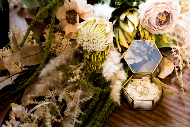 夏ならではのウォーターイン撮影はいかが？