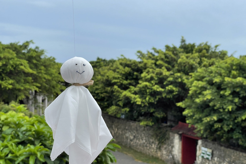 【ハレの日】 とても良いお天気になりました ꙳