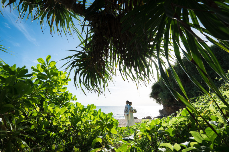 【沖縄情報ー!】日本3位の観光部門スポット!南国イルミネーション!