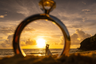 プランのご紹介＊