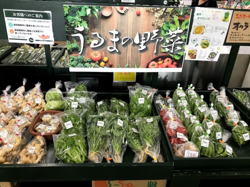 沖縄観光地めぐり♪