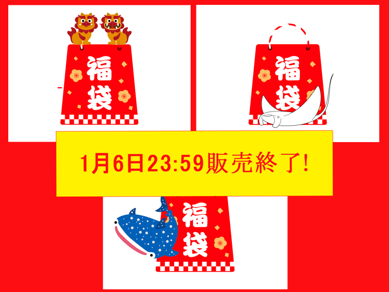 福袋プランは本日23:59まで！おトクすぎるので見逃さないで下さい！