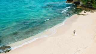 【沖縄情報ー!】首里城復興祭が開催されます!