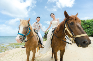 お馬さんと写真が撮れるのはシエロだけ？！