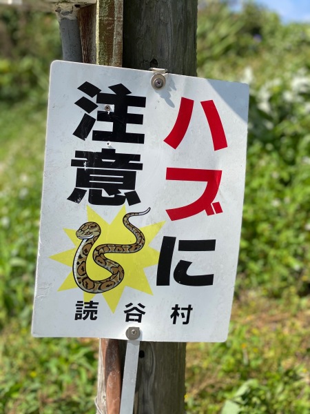 南国の花も楽しんで！