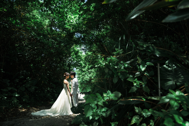 プランのご紹介!