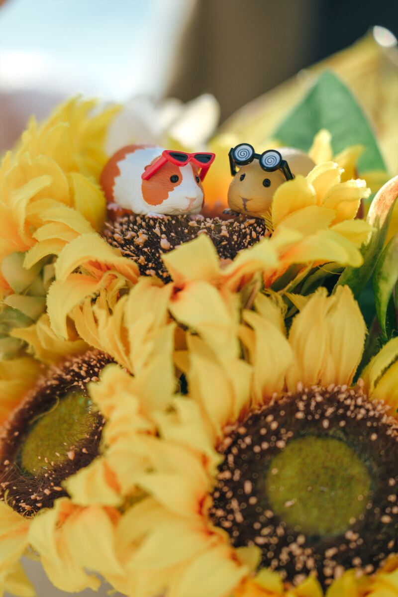 お客様からの声&素敵なフォトをご紹介