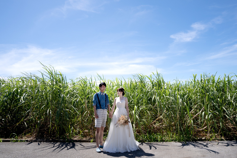 GW明け 5/7〜 プラン&オプションがリニューアルします!