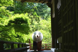 【6月】紫陽花＆新緑シーズン！