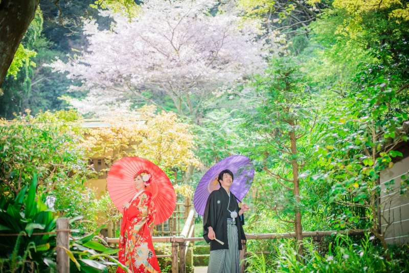 桜や海棠も、好きです♡