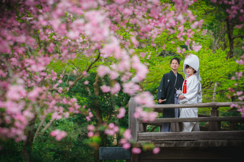桜や海棠も、好きです♡