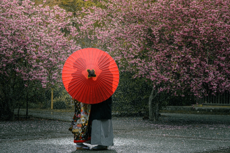 雨の日の撮影について