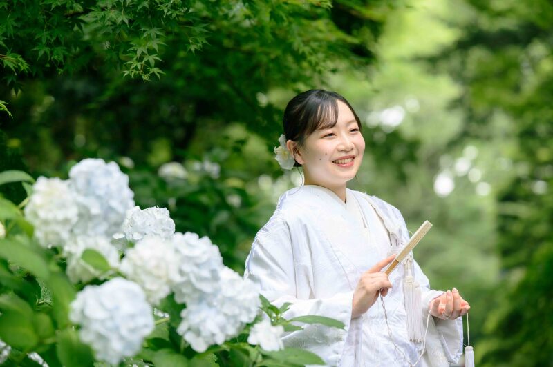 【最新】妙本寺の紫陽花の開花状況!