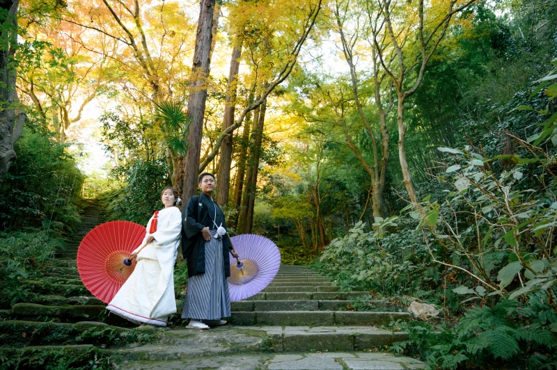 【紅葉】12月下旬も紅葉シーズン！
