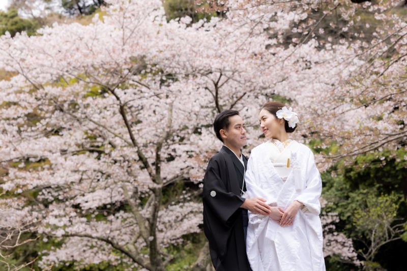 桜シーズン　残席僅かです！