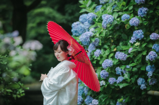 受付スタート♪紫陽花の季節のご撮影
