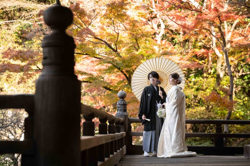 【紅葉】鎌倉の紅葉について