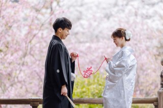 【2025年】妙本寺のソメイヨシノと海棠の開花