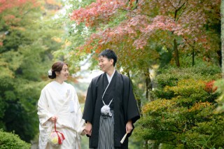 【海蔵寺】2024年紅葉速報！