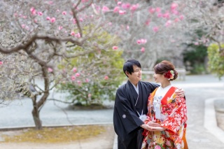 昨秋入荷の色打掛　トップ2☆彡