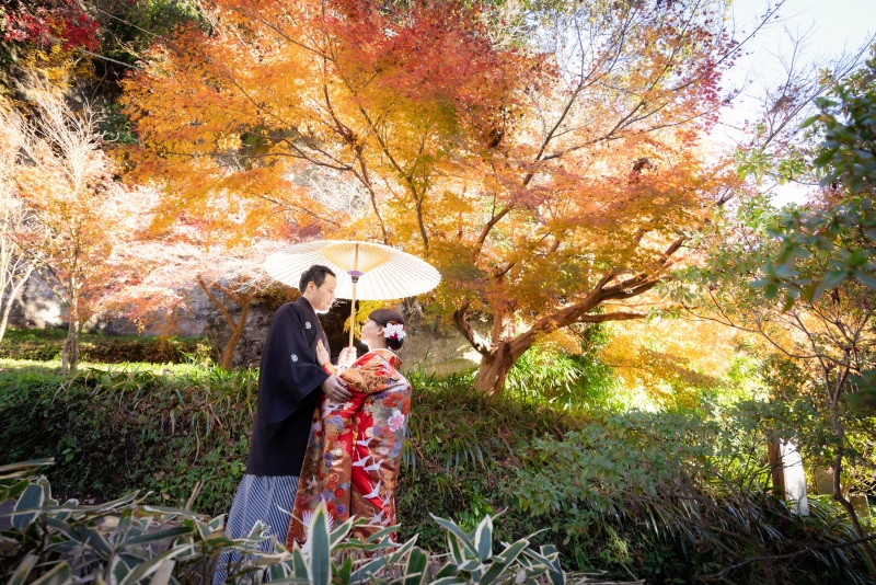 2022年　紅葉速報④
