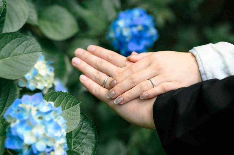 【最新】妙本寺の紫陽花の開花状況!