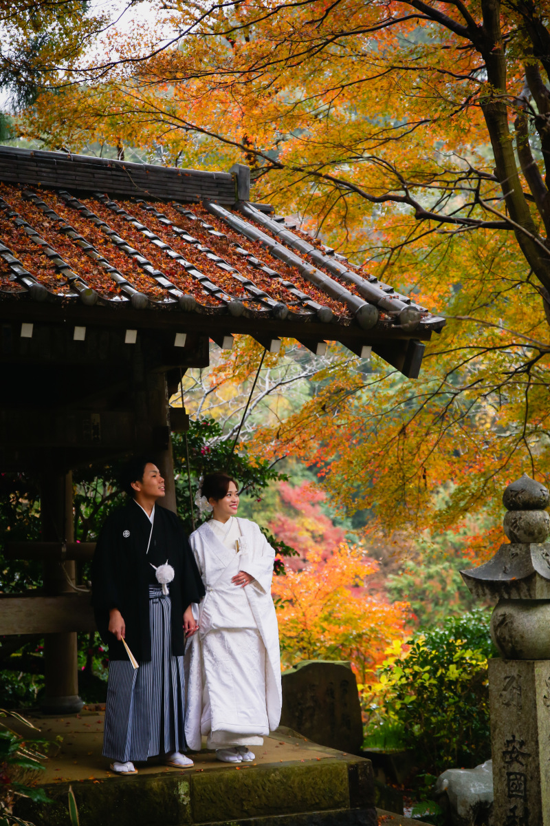 鎌倉の紅葉について