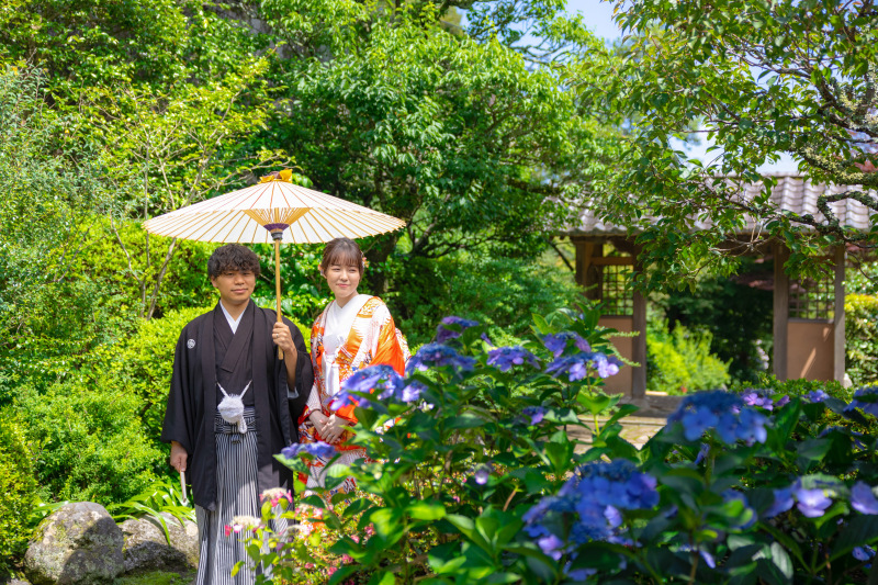 鎌倉店の紫陽花