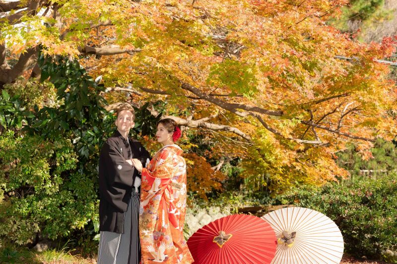 【紅葉】鎌倉の紅葉について