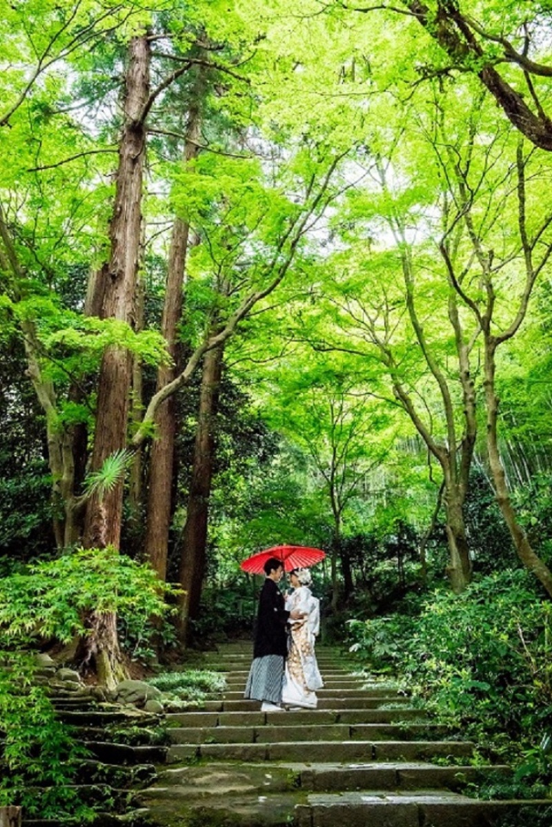 【GW限定】土日祝日追加料金も無し!鎌倉店限定の特別プランが先着10組様で登場!