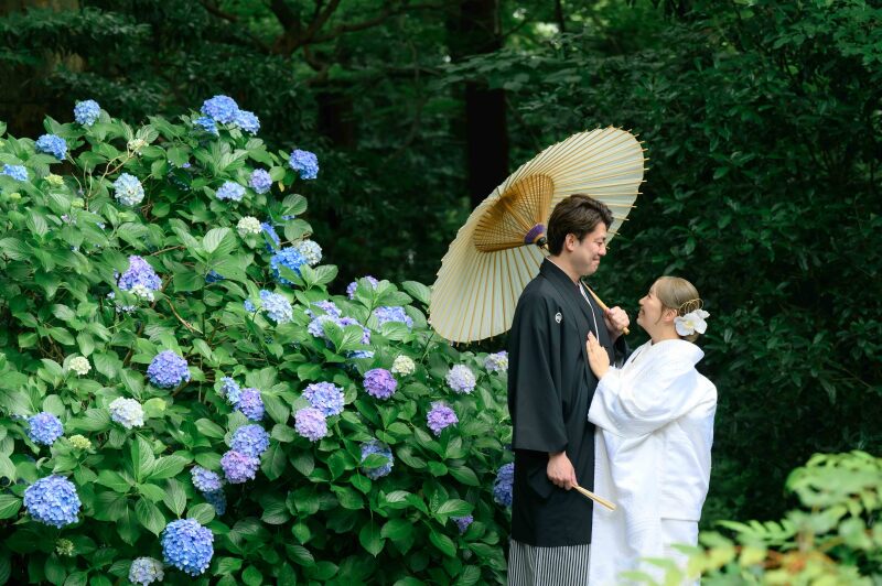 【2026年】妙本寺・紫陽花開花の時期
