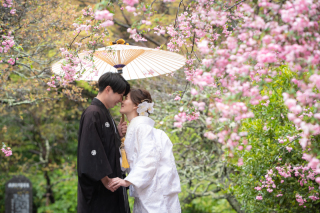 まだ見頃の春！(^▽^)/